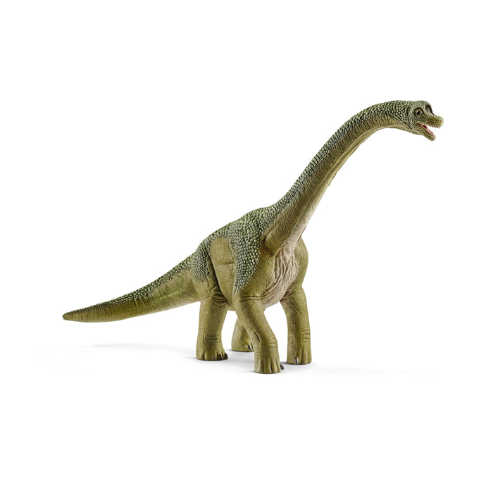 Dinosaurs - Brachiosaurus (14581)