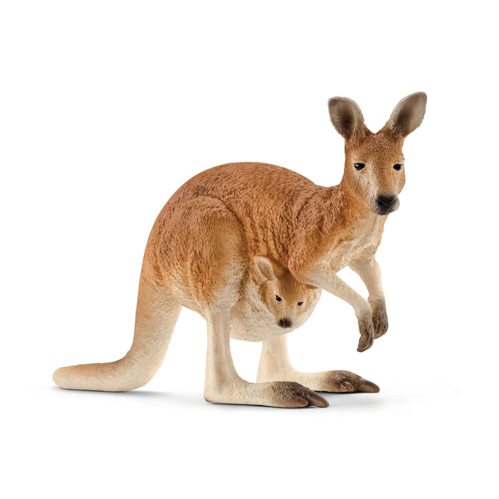 Wild Life - Kangaroo (14756)
