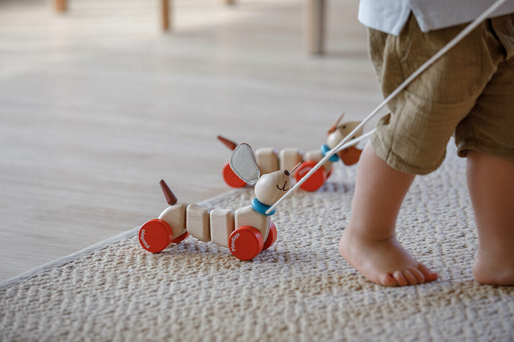 Push, Pull & Ride On