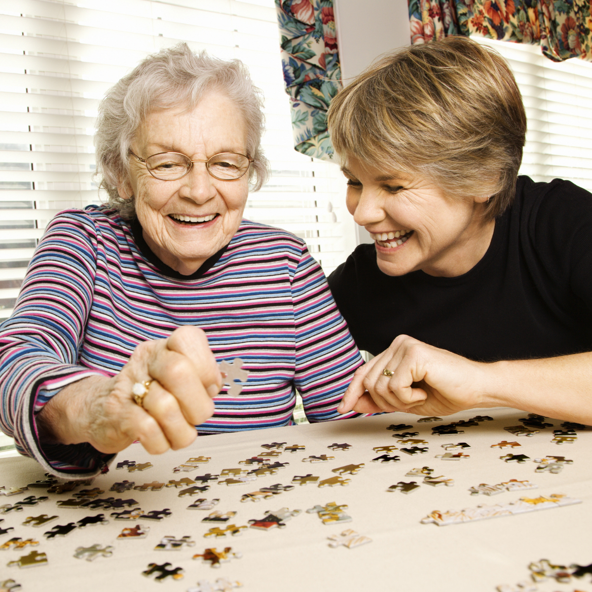 Adult Puzzles — Splash Toy Shop