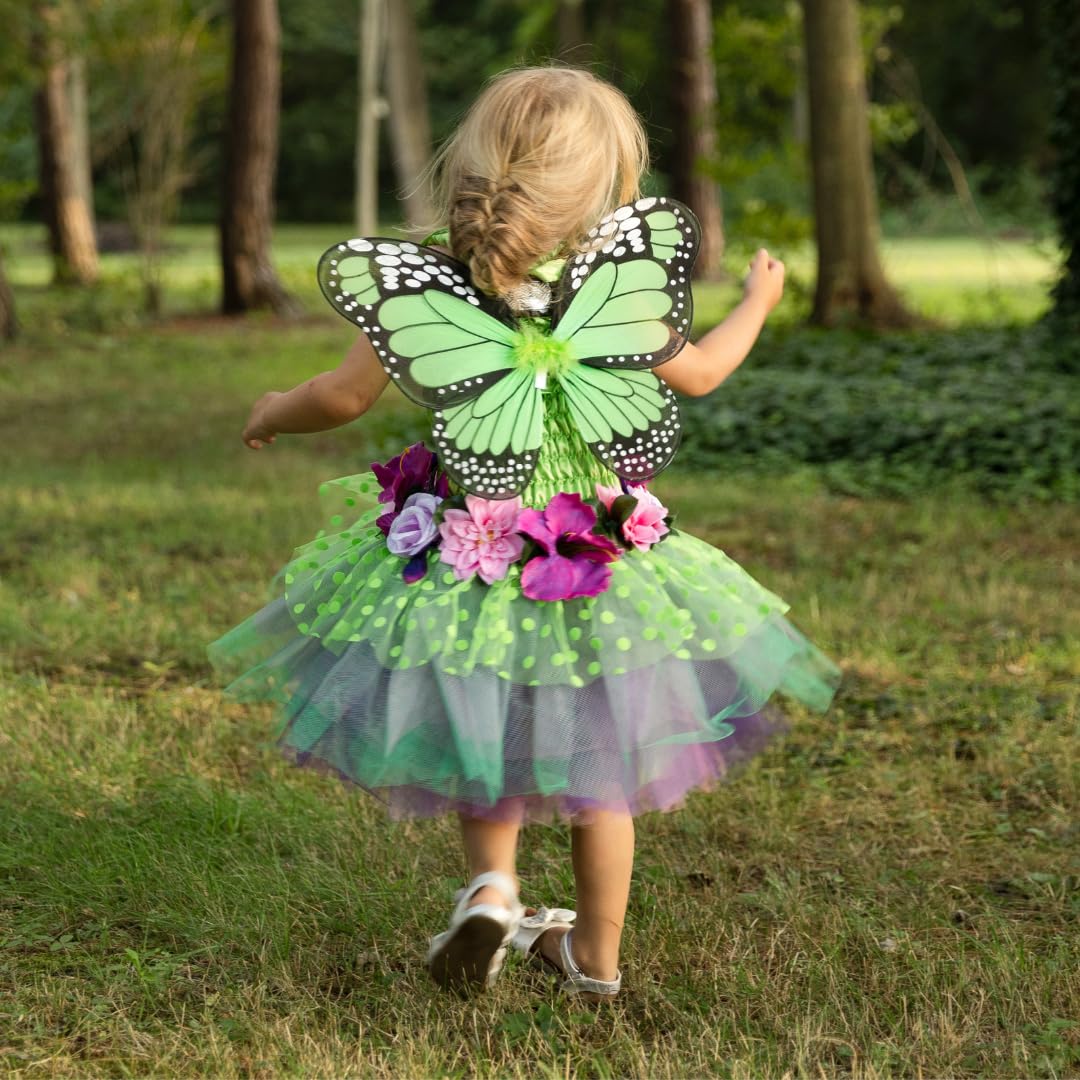 Fairies, Butterflies & Birds