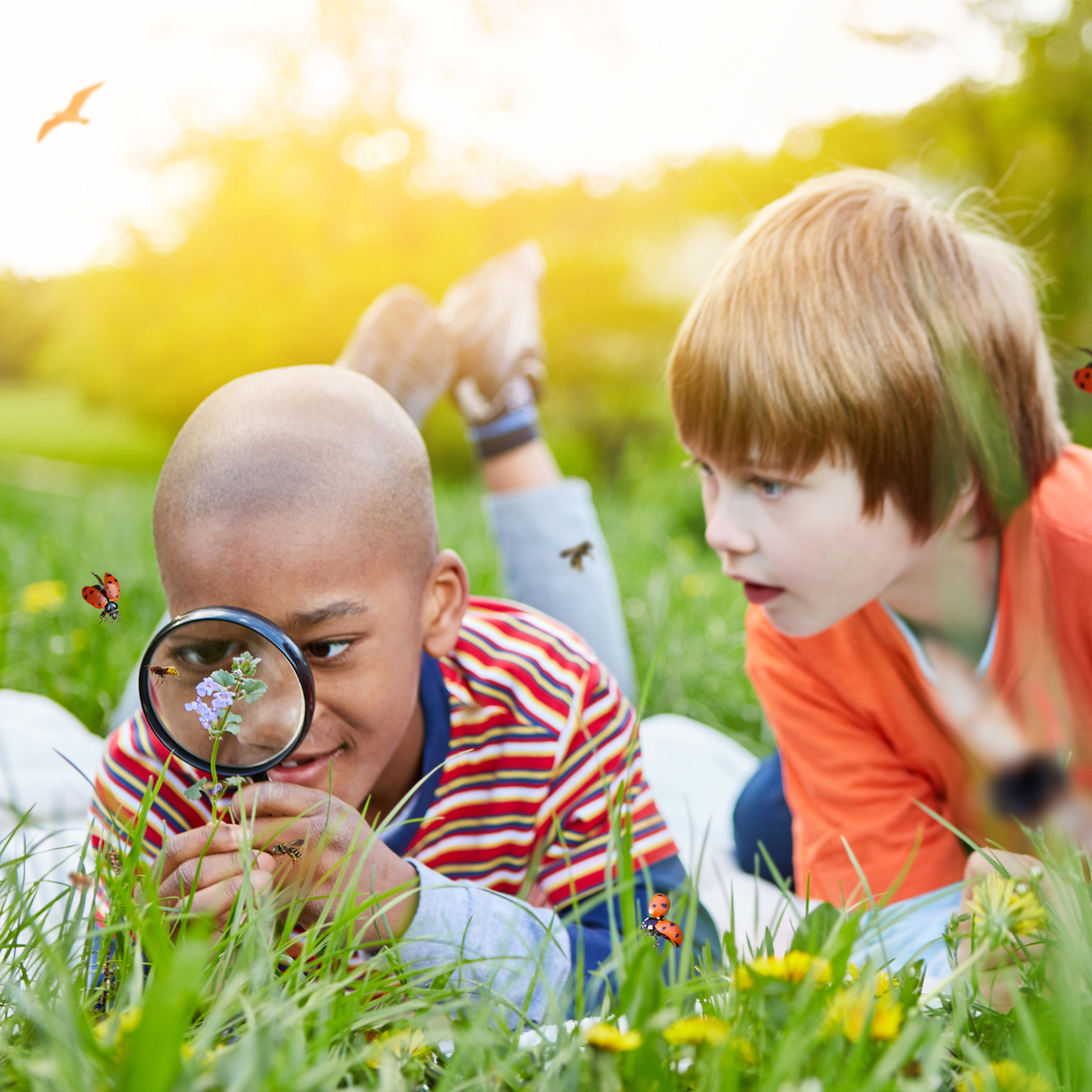 Outdoor & Active Play