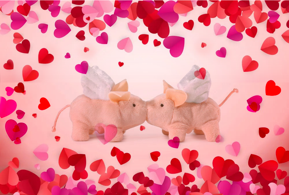 Valentine's Day