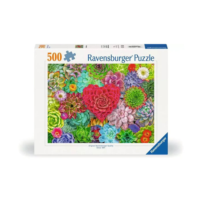 R - Succulent Love - 500pc (12001469)
