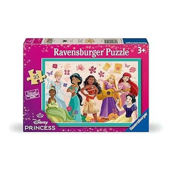 R - Disney Princess - 35pc (12004145)