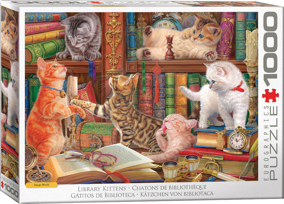 Library Kittens by Image World - 1000pc 