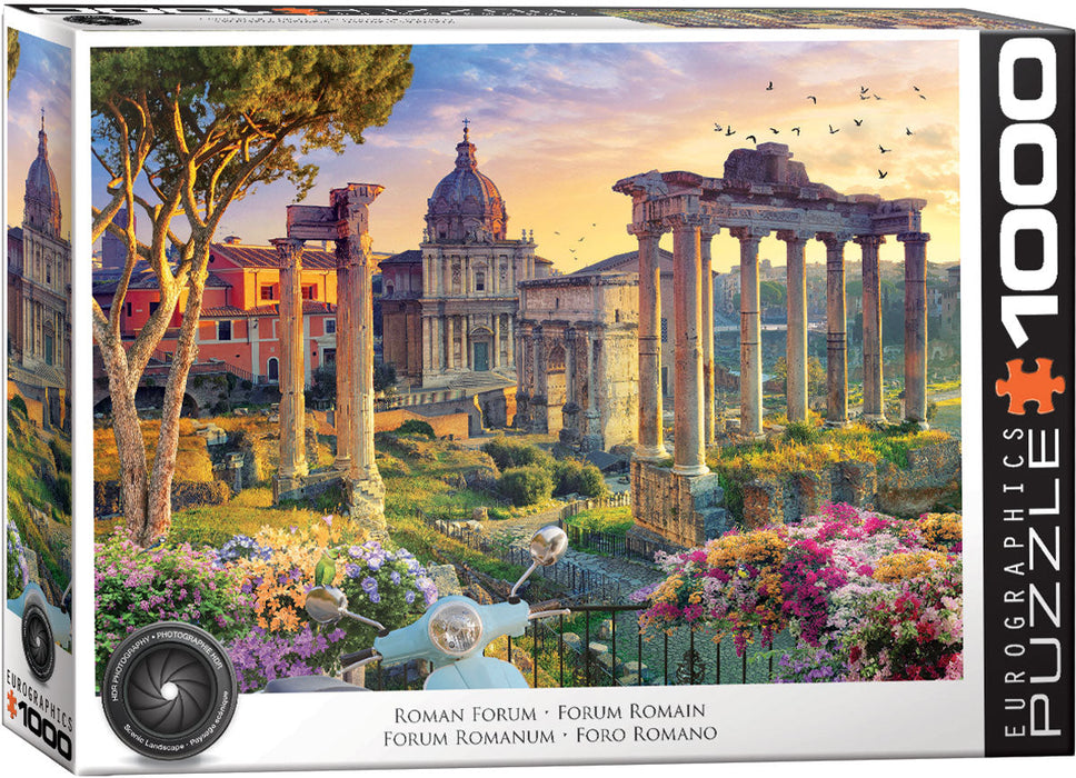 E - Roman Forum, Rome, Italy - 1000pc (6000-6003)