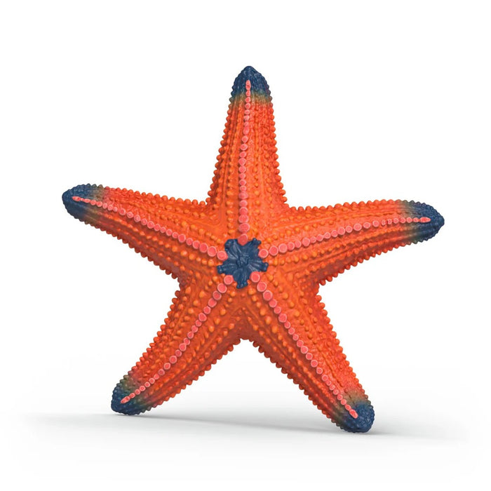Wild Life - Starfish (Color Change) (14902)