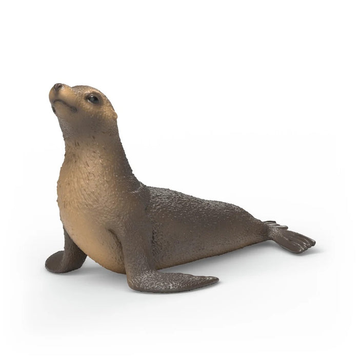 Wild Life - Sea Lion (14933)