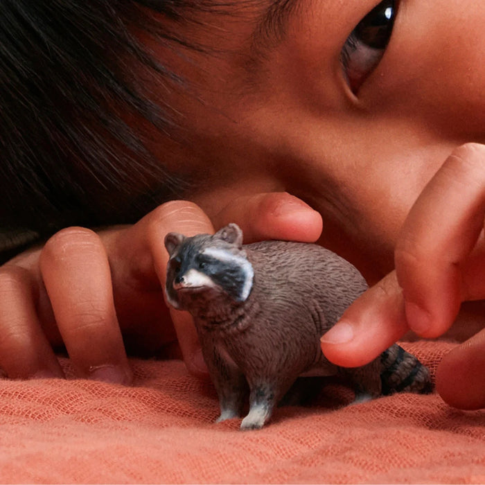 Wild Life - Raccoon (14937)