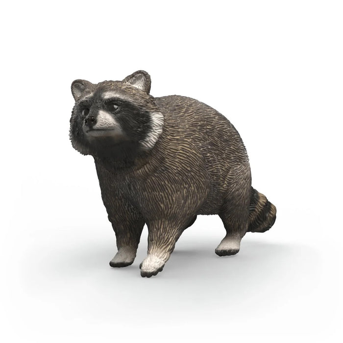 Wild Life - Raccoon (14937)