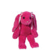 Begonia Floppy Bunny 