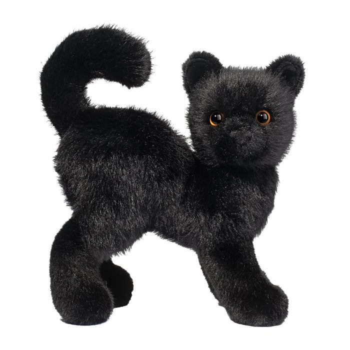 Scaredy Black Cat 