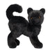 Scaredy Black Cat 