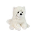 Opo White Pomeranian 