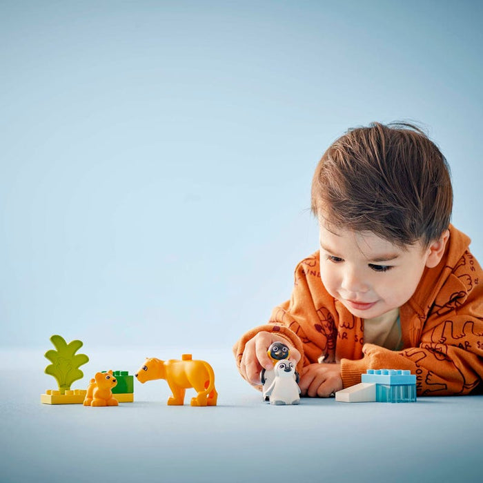 Wild Animal Families: Penguins & Lions - DUPLO Town (10442)