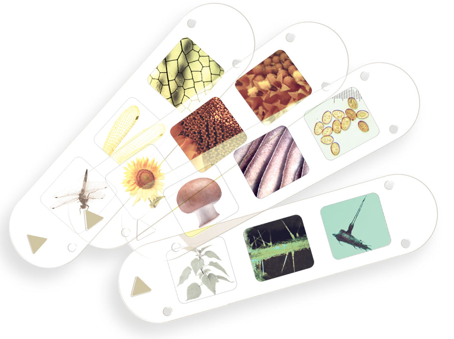 Kids First: Big & Fun Microscope