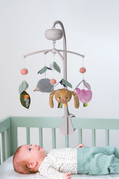 Taf Toys - Urban Garden Musical Mobile (KT)