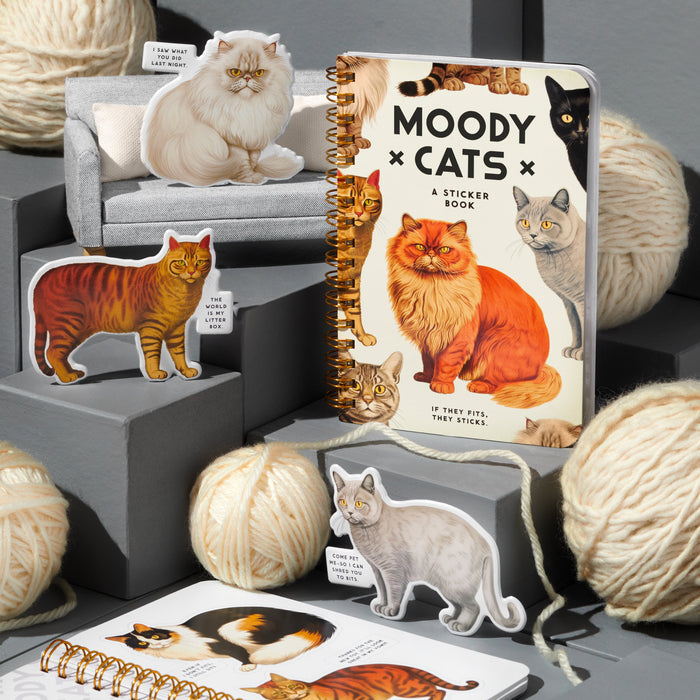 Moody Cats Sticker Book - RC