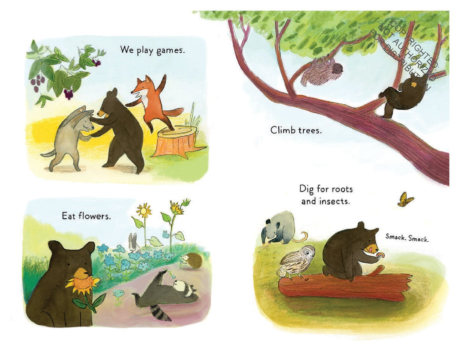 A Cub Story (BB) - RC