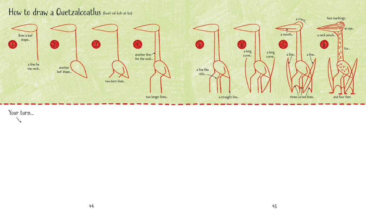 USB - Step-by-step Drawing Dinosaurs