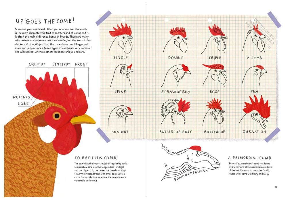 Chickenology (HC) - RC
