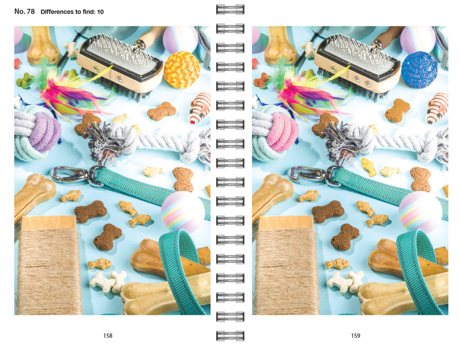 The Big Book of Spot the Difference - PGC