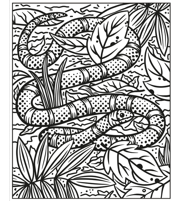 USB - Rainforest Magic Painting Book