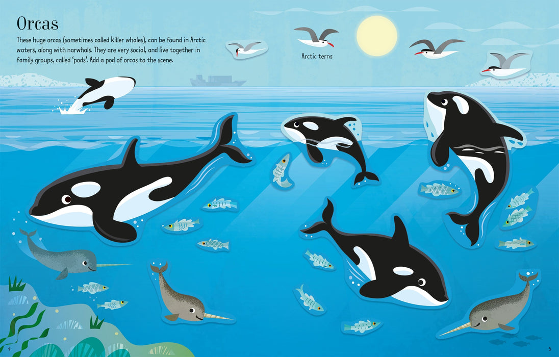 USB - First Sticker Book Narwhals