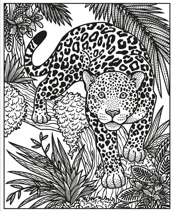 USB - Wild Animals Magic Painting Book