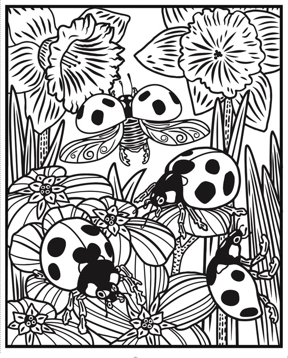 USB - Bugs Magic Painting Book