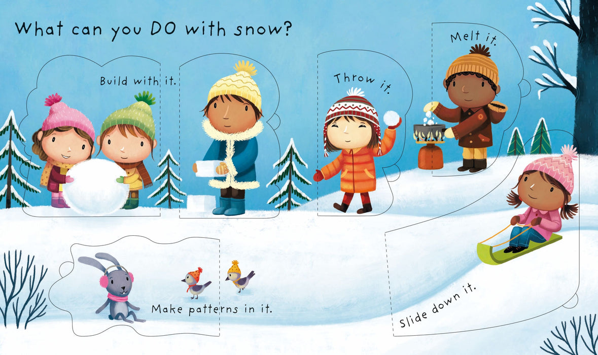 USB - Lift-the-flap Very First Questions and Answers: What is snow? (BB)