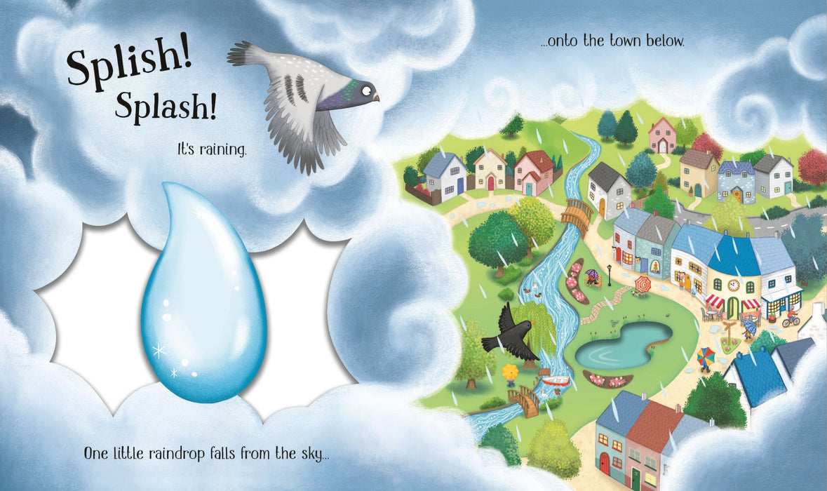 USB - Life Cycles: One Little Raindrop (BB)