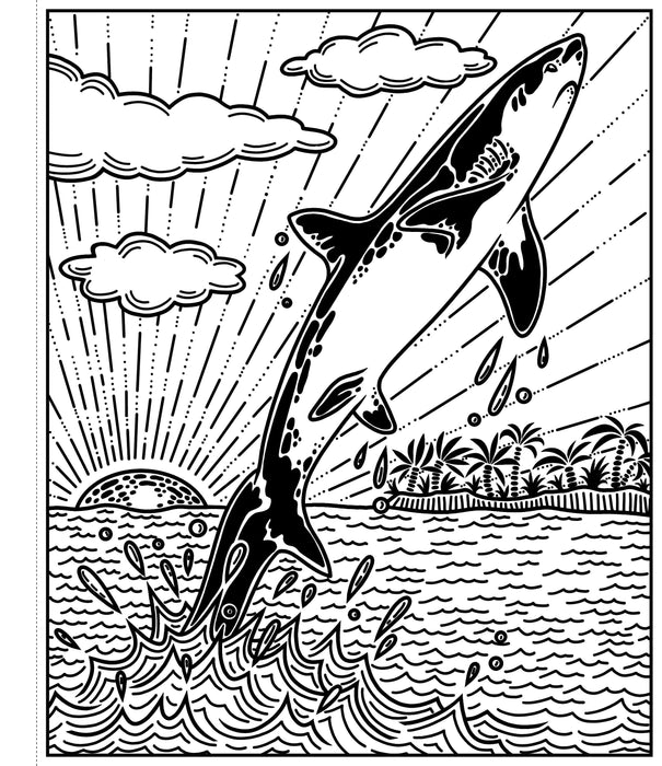 USB - Sharks Magic Painting Book
