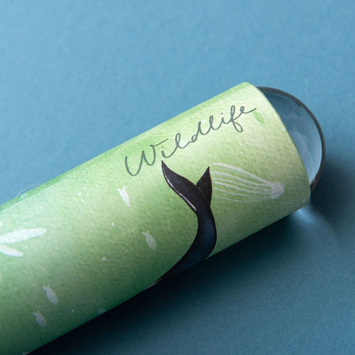 Kaleidoscope - Whales - Londji (CD133S12)