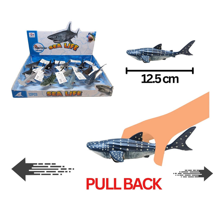Pull Back Whales & Sharks