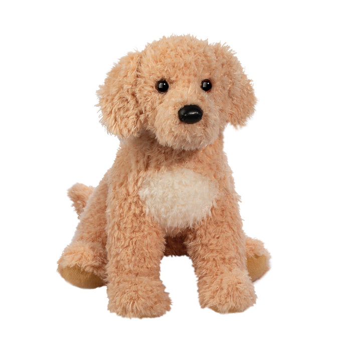 Noodle Goldendoodle 