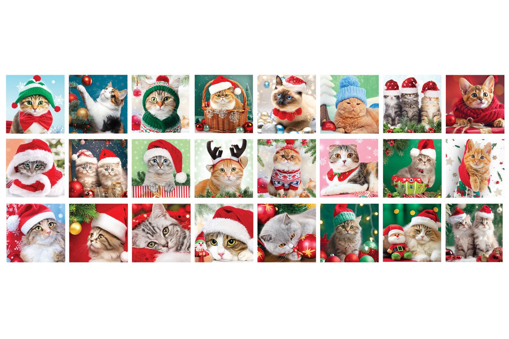 E - Advent Calendar - Christmas Whiskers - 24x50pc (8924-5922)