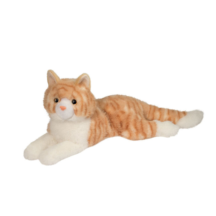 Mango Orange Cat (302)