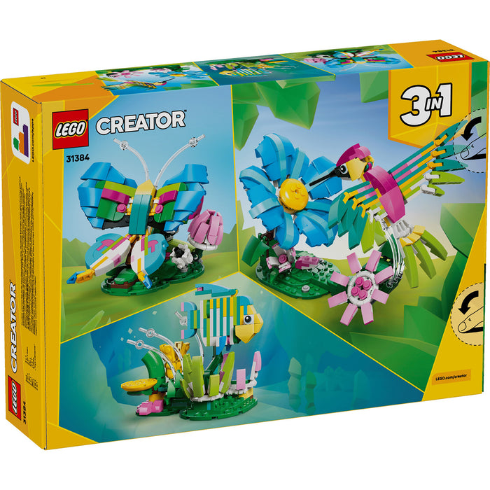 Wild Animals: Colorful Hummingbird - Creator (31384)