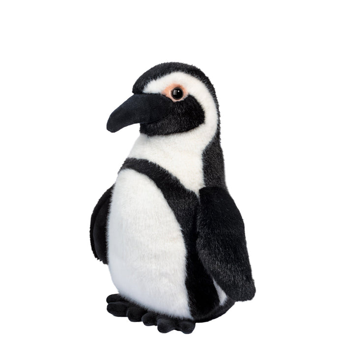 Zuri African Penguin (3723)