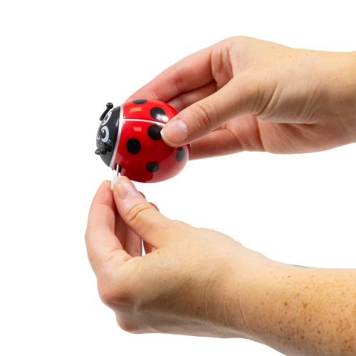 Wind Up Ladybird (37538) - OFF
