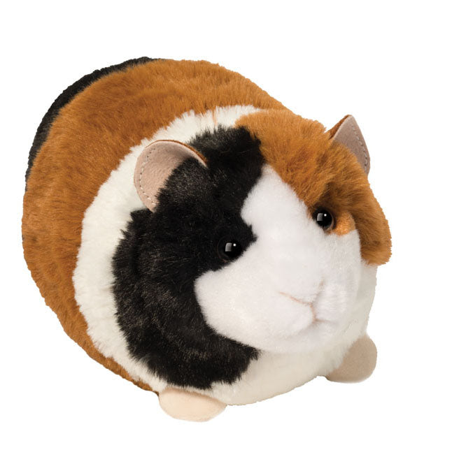 Pippin Guinea Pig (4156)