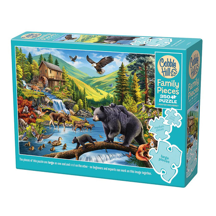 CH - A Family Affair (Family Pieces) - 350pc (47053)