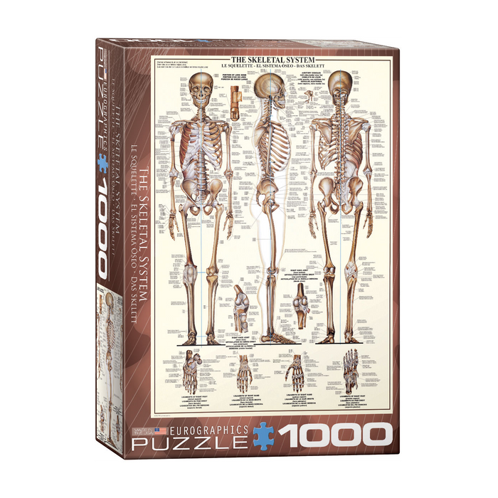 E - The Skeletal System - 1000pc (6000-3970)