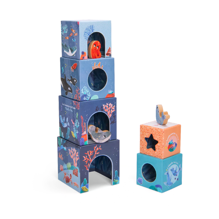 Aventures De Paulie - Nesting Cubes - Moulin Roty (676365)