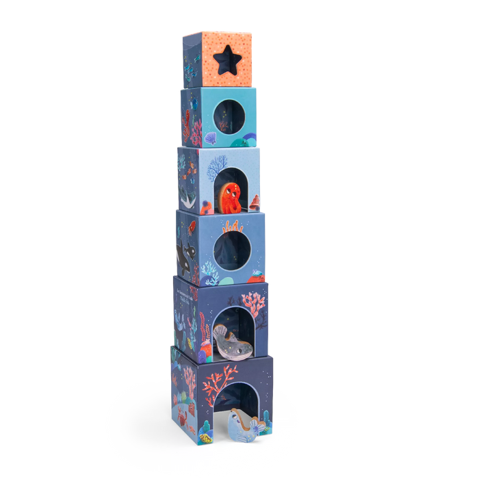 Aventures De Paulie - Nesting Cubes - Moulin Roty (676365)