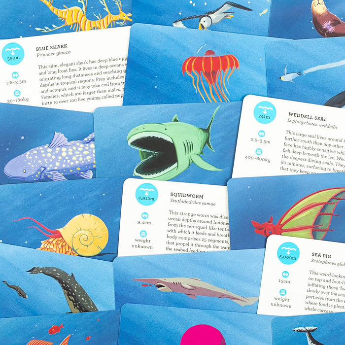 Deep Sea Discovery