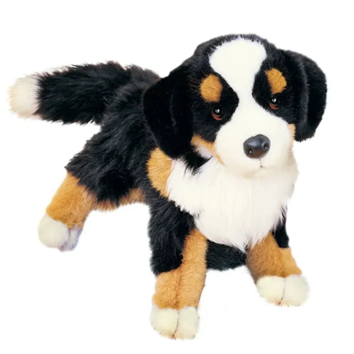 Trevor Bernese Mountain Dog (2025)