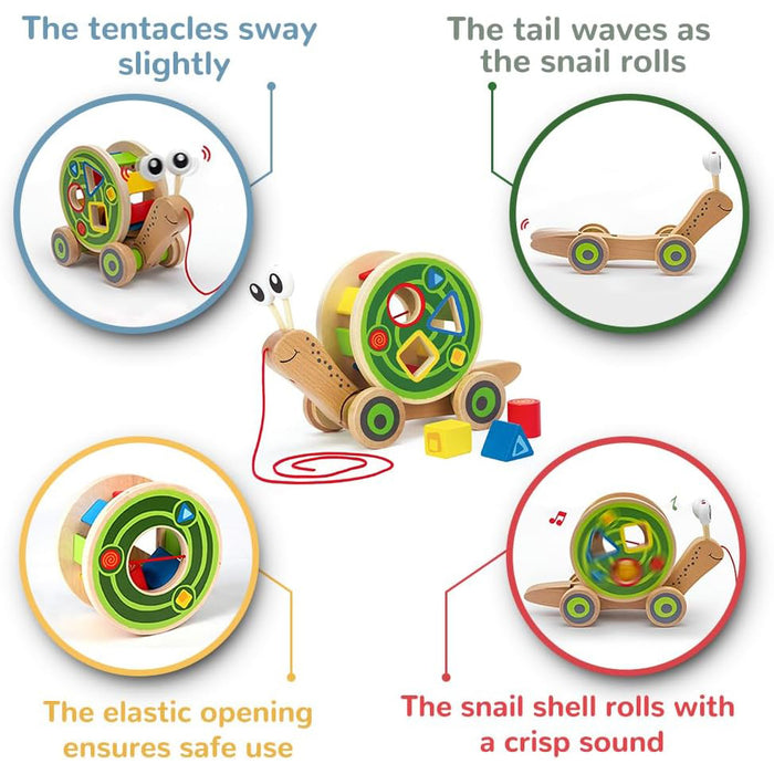 Twist & Tune Turtle - 0-24m (E0140)